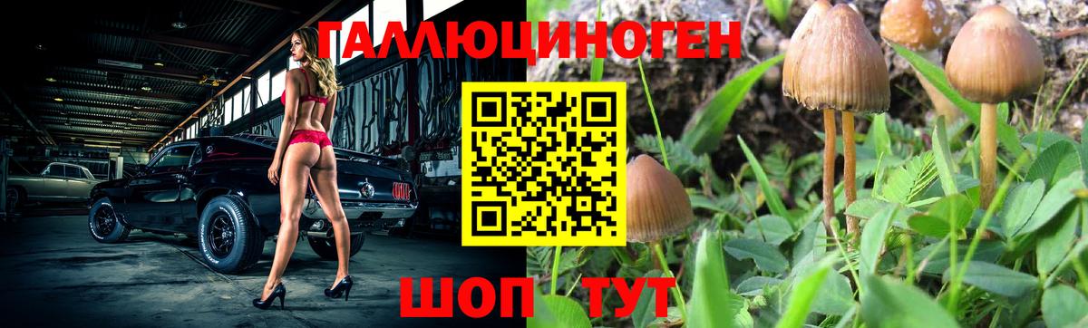 Псилоцибиновые грибы Psilocybine cubensis  Вход с VPN  Нововоронеж  Псилоцибиновые грибы Psilocybe 