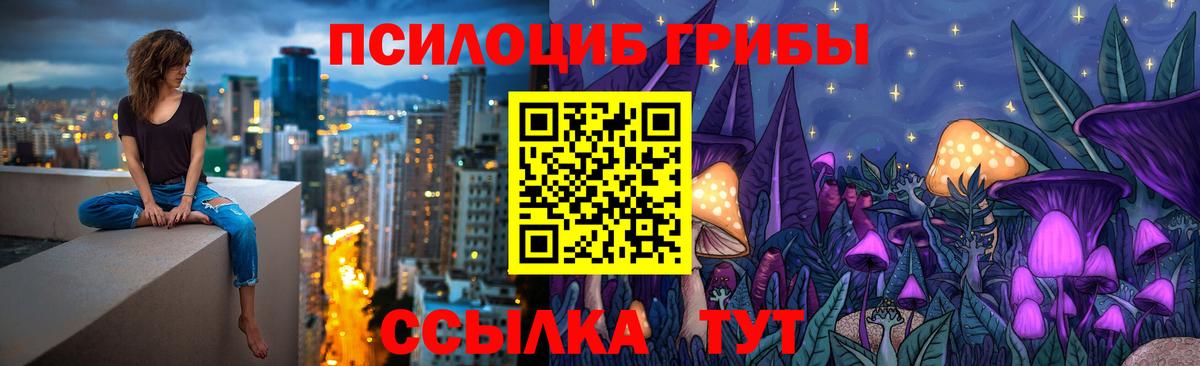 Псилоцибиновые грибы мухоморы Нововоронеж